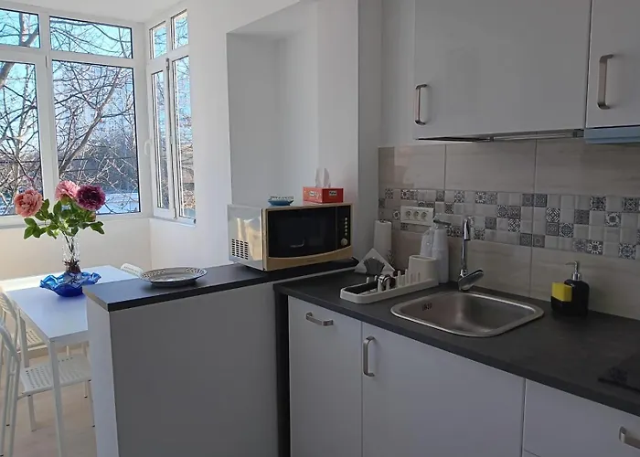 Bed & Breakfast Dulce Luna Boekarest